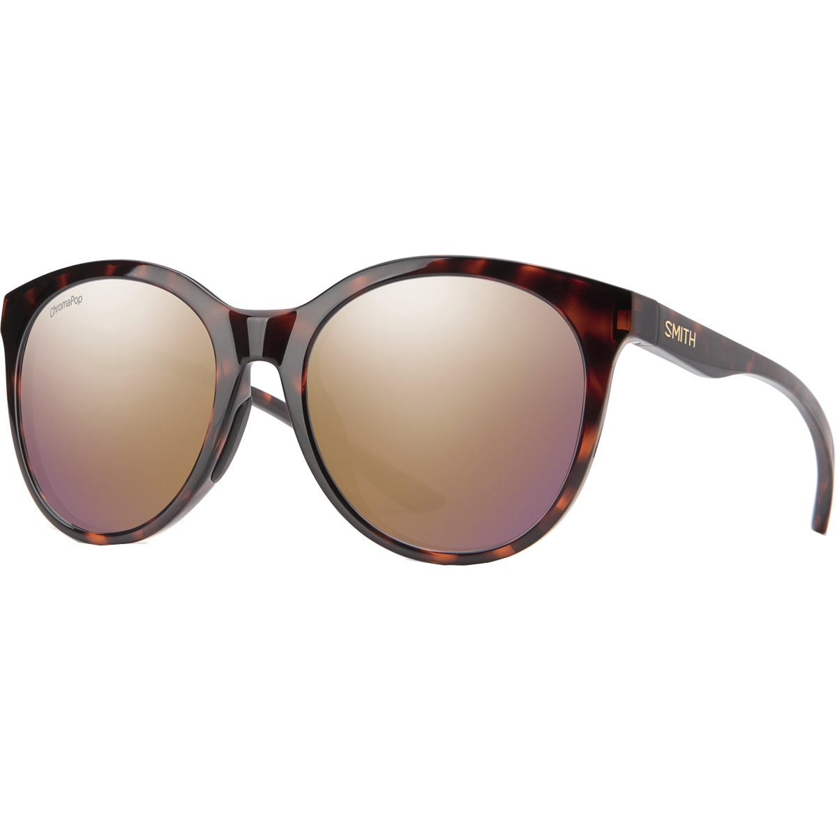 Bayside Polarized