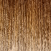 Falling For You Wig by Gabor | Synthetic Lace Front (Basic Cap)