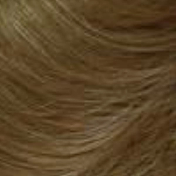 Hallie | Synthetic Lace Front Wig (Basic Cap)