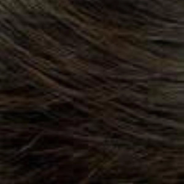 Hallie | Synthetic Lace Front Wig (Basic Cap)