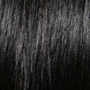 LFHH-Down | Human Hair Lace Front Wig (Basic Cap) | DISCONTINUED