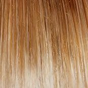 Out The Door Wig by Gabor | Synthetic Lace Front (Basic)